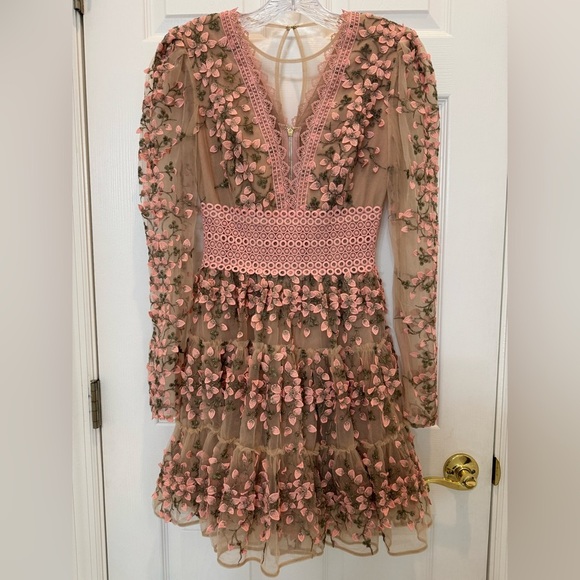 NWT Bronx and Banco Megan Rose Embroidered Mini Dress Size Small - Picture 2 of 16